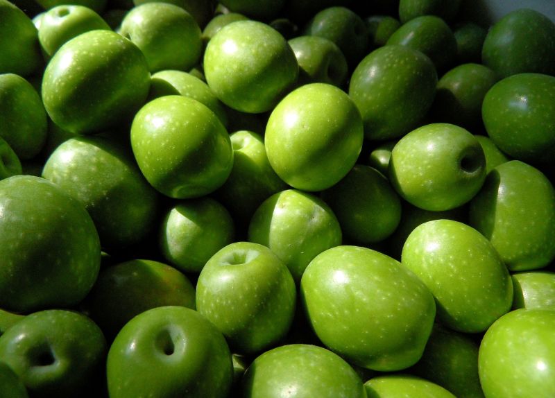 Sofralık zeytin ihracatı 200 milyon dolara koşuyor