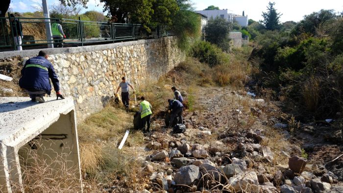 Bodrum Belediyesi “Tescilli Ağaç Topluluğu” Bölgesi Temizledi