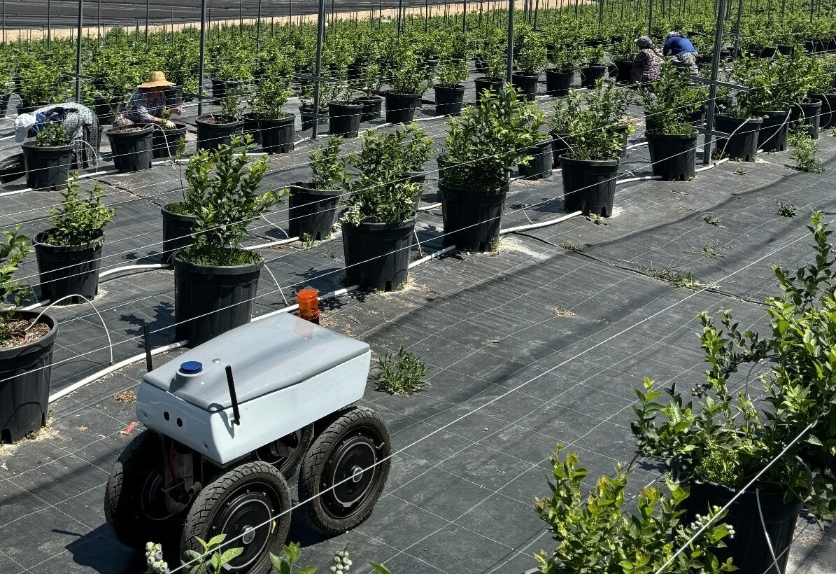 Tarım Teknolojilerinde Bir İlk: CERN’e Kabul Edilen Tek Şirket Türkiye’den