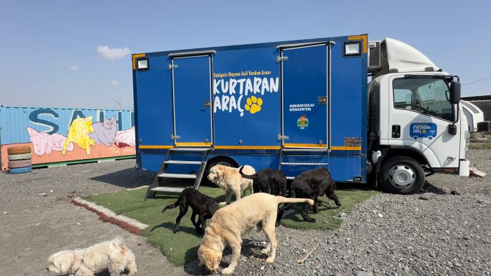 Anadolu Sigorta, Kurtaran Araç ile Sokak Hayvanlarının Rehabilitasyonuna Destek Oluyor