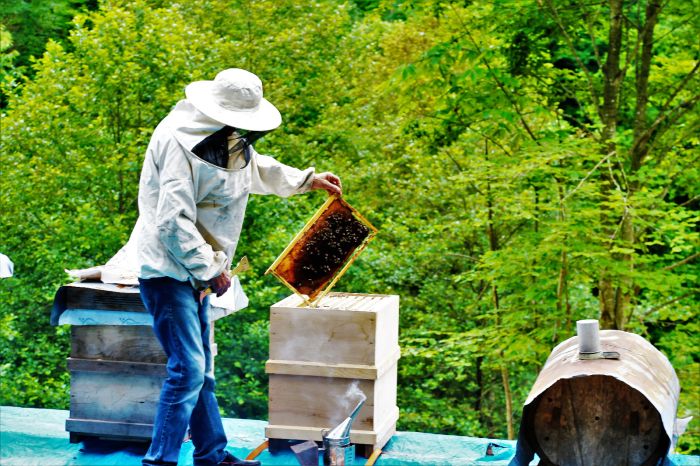 OGM’den Orman Köylüsüne 1,3 Milyar TL Destek