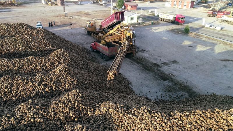 Sukkar Şeker, 1 Milyar 617 Milyon TL Pancar Bedeli Ödedi