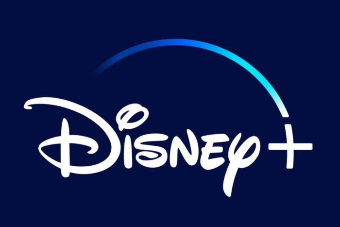 The Walt Disney Company Disney+’a Atama