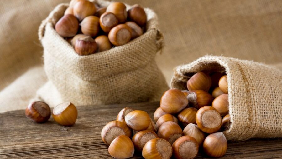 Fındık ihracatı Türkiye’ye rekor döviz kazandırdı