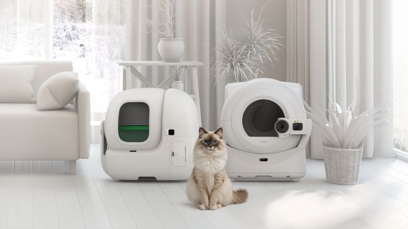 Kedili evlerde kış hazırlığı: hijyen ve konfor için yeni nesil çözümler