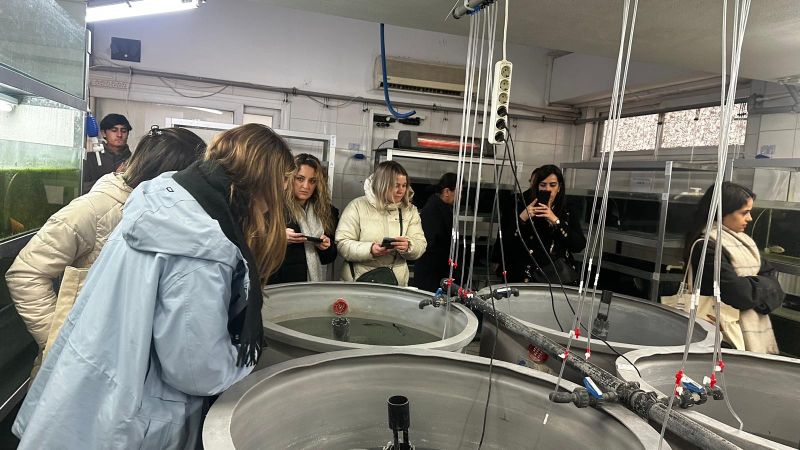 Ege’den Dünyaya: Sürdürülebilir Su Ürünlerinde Güçlü İş Birliği